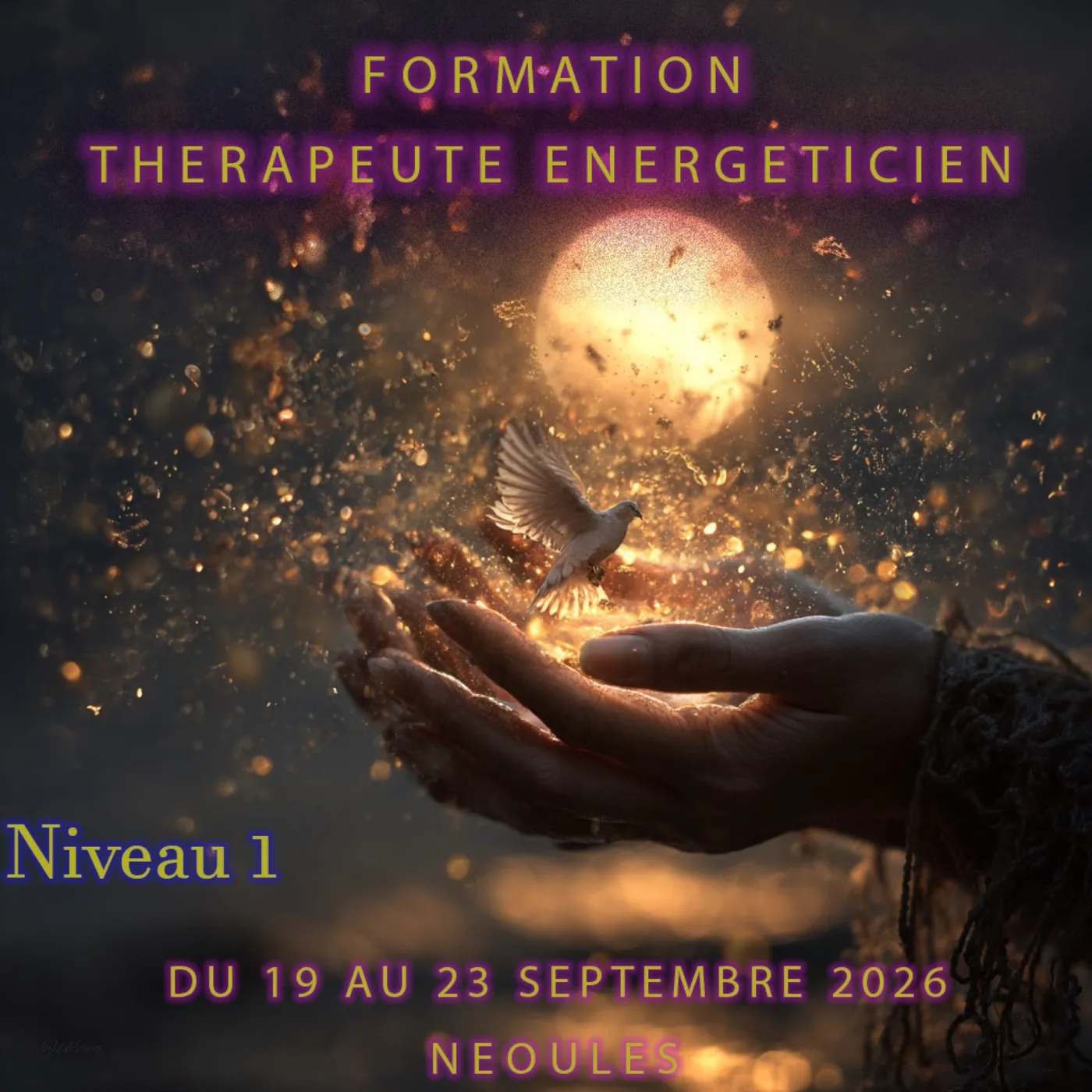 Devenir Thérapeute Énergéticien · Niveau 1